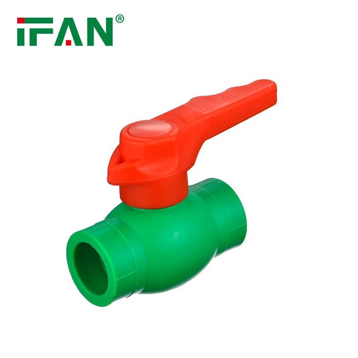 PPR Brass Core Insert Valve